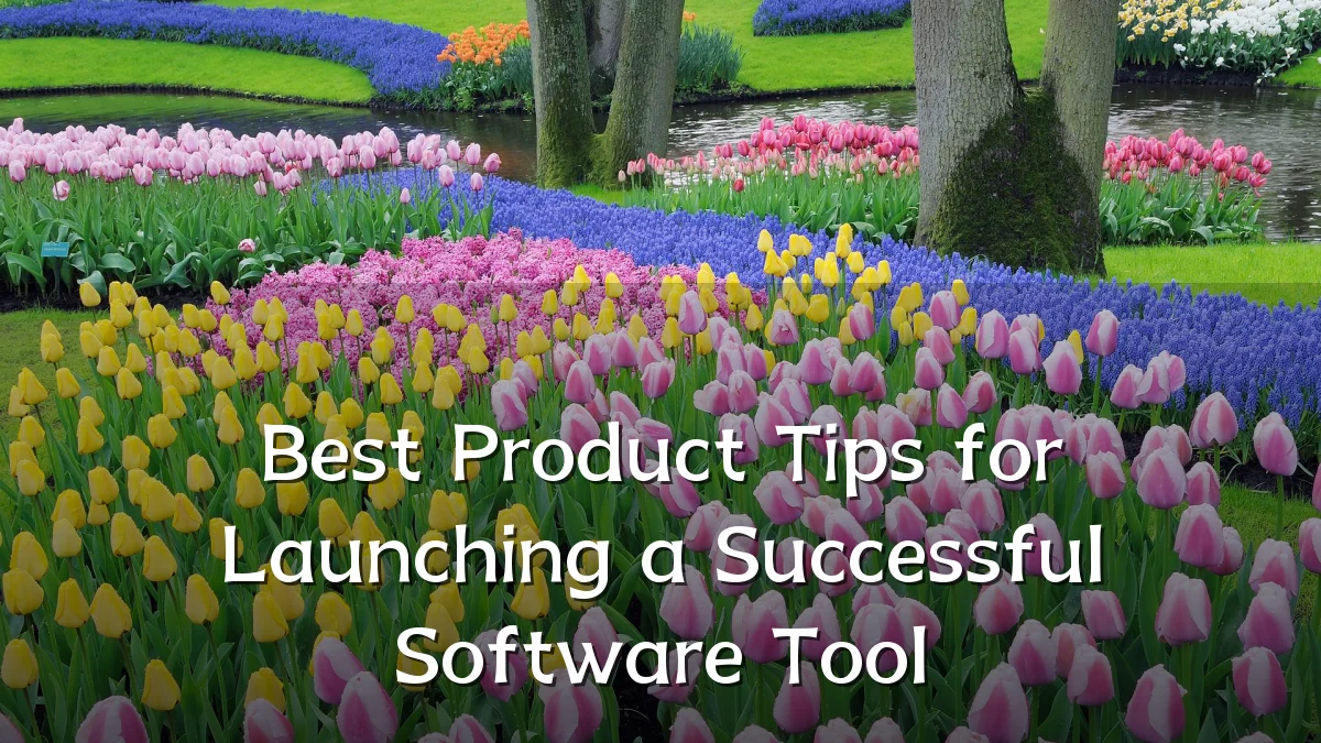 Best Product Tips for Launching a Successful Software Tool
