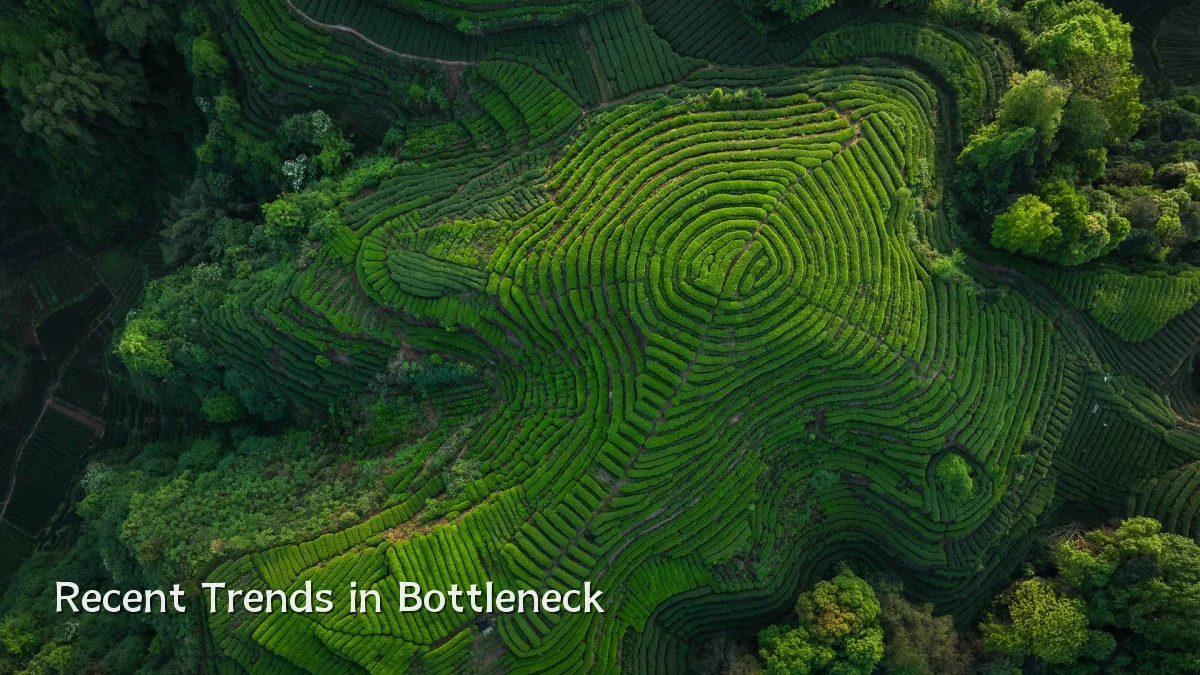 Recent Trends in Bottleneck