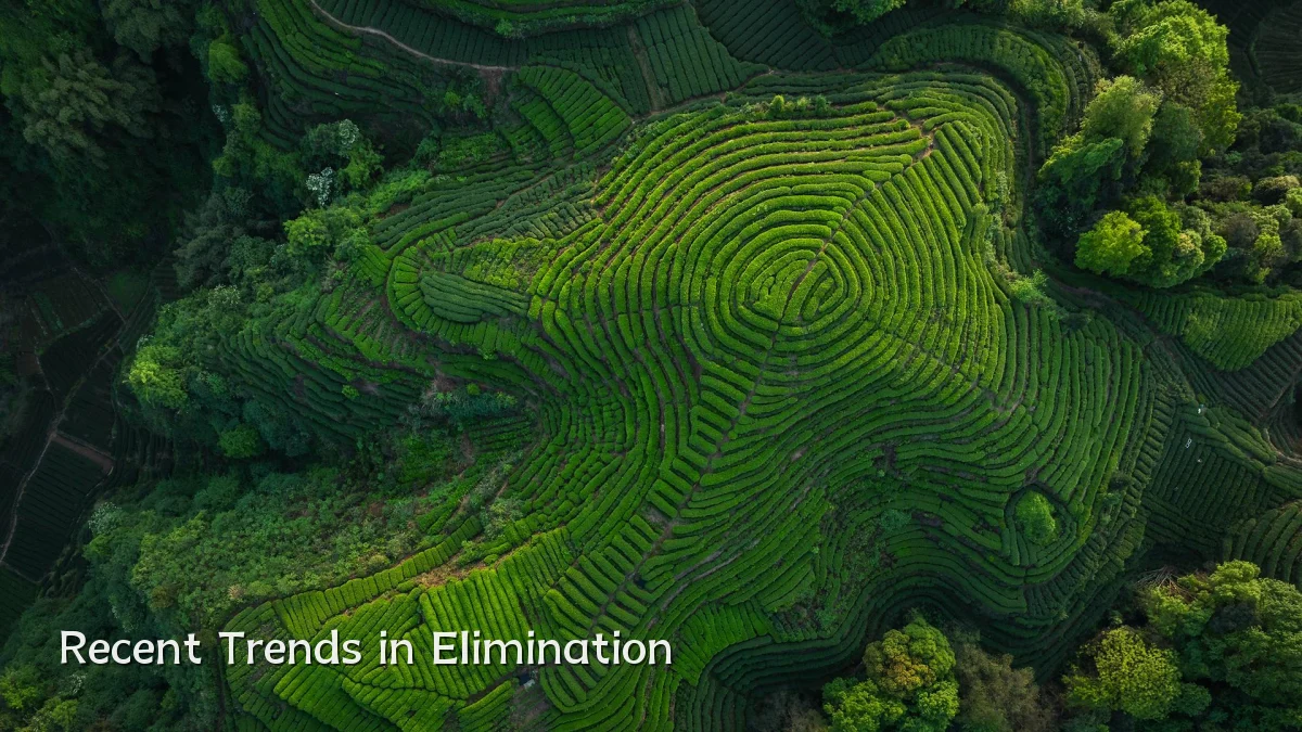 Recent Trends in Elimination