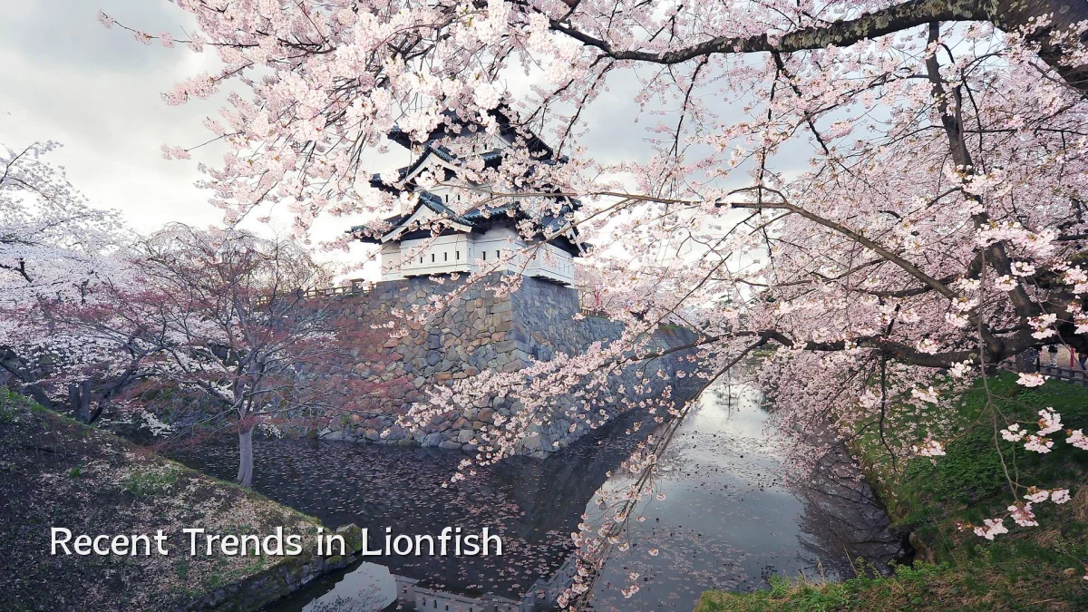 Recent Trends in Lionfish