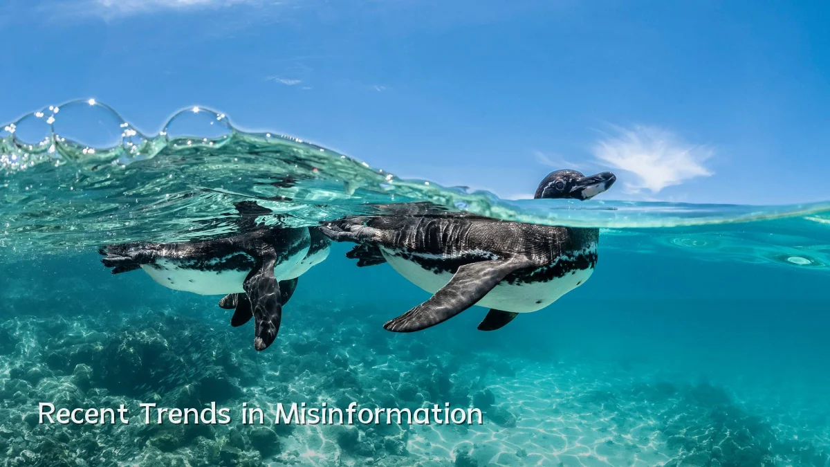 Recent Trends in Misinformation