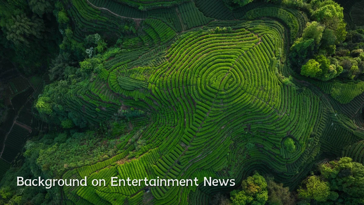 Background on Entertainment News