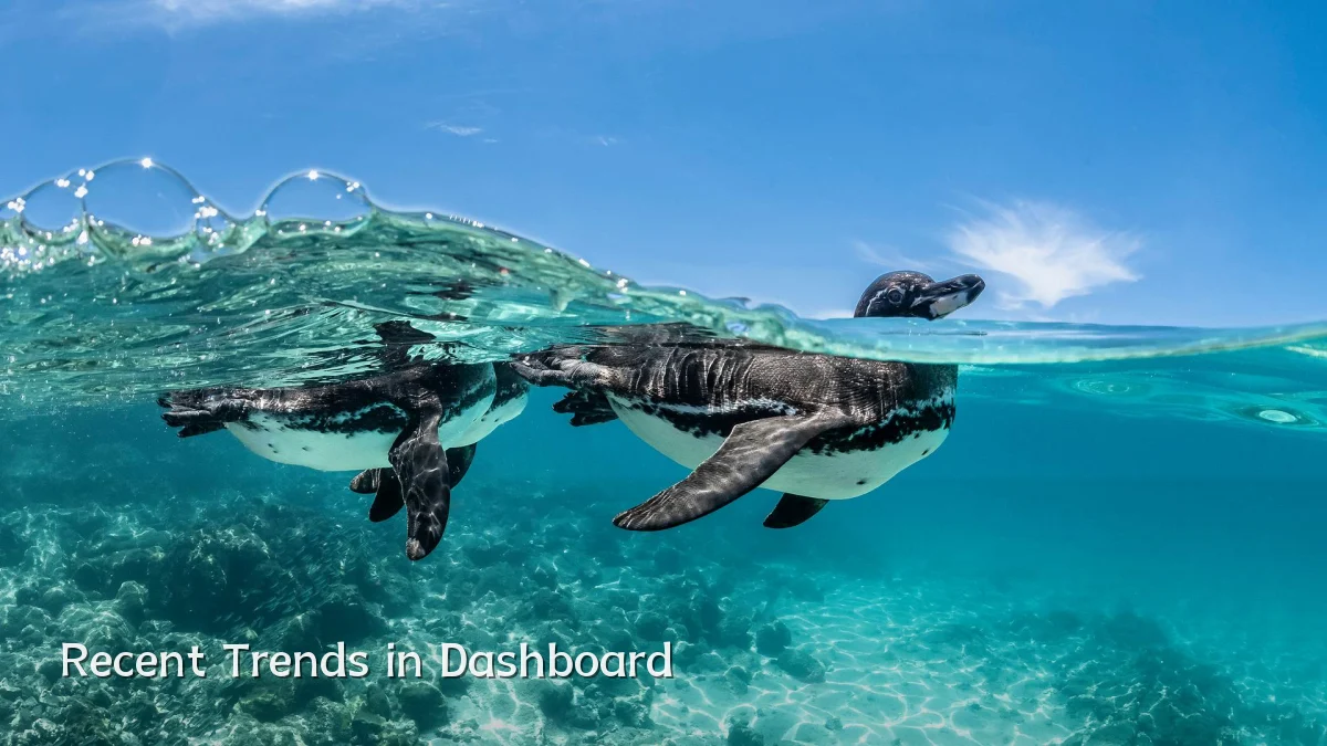 Recent Trends in Dashboard