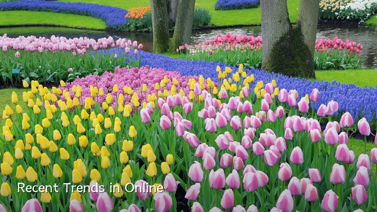 Recent Trends in Online