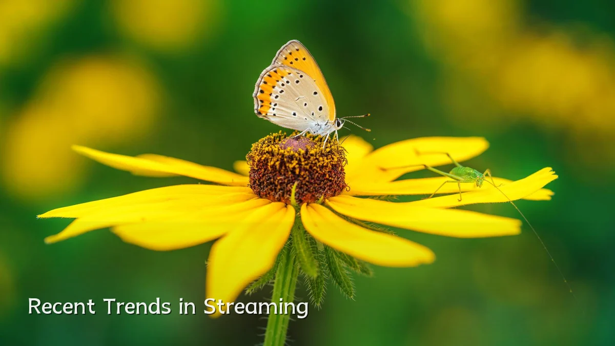 Recent Trends in Streaming
