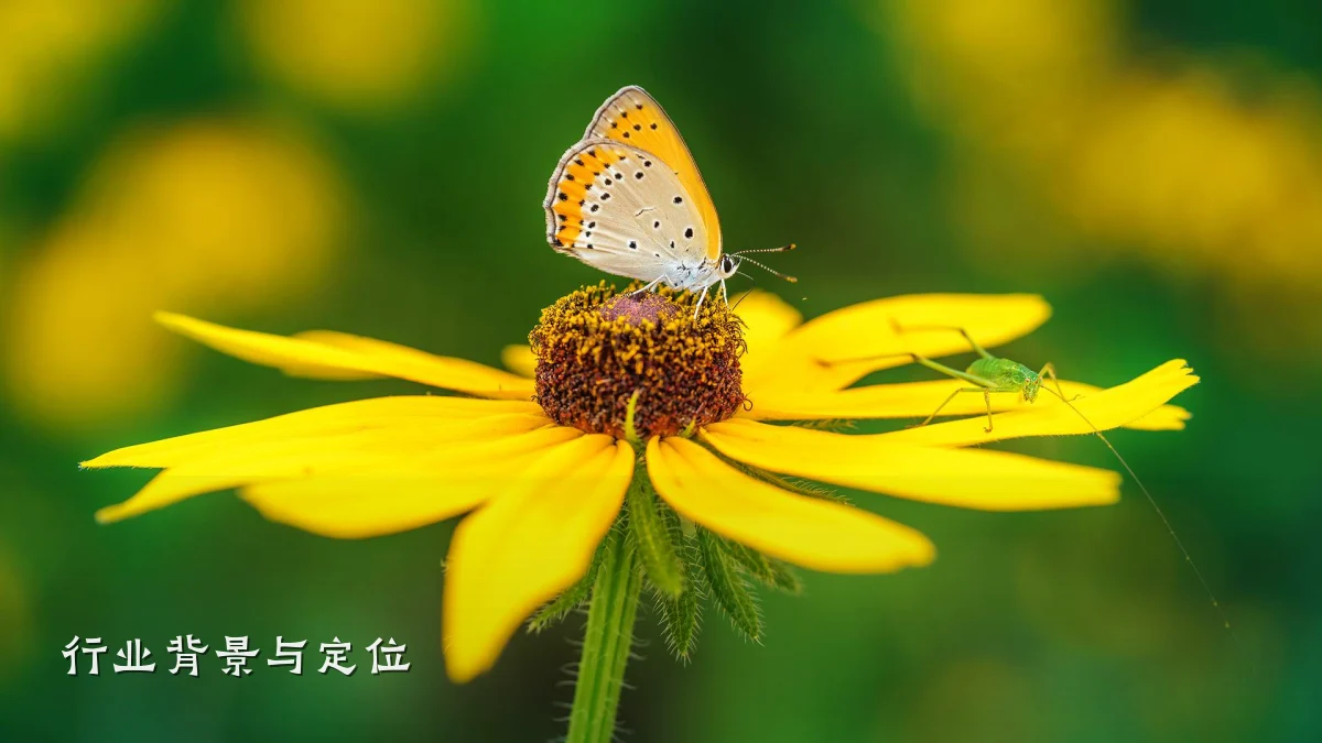 行业背景与定位